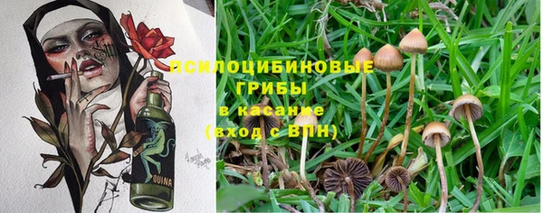 альфа пвп Слюдянка