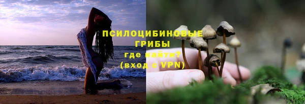 гидра Сосновый Бор